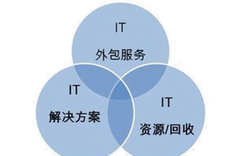 上海网络技术公司：构建信息时代的桥梁